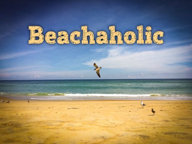 Beachaholic to heart! Love the ocean and watching the seagulls. 