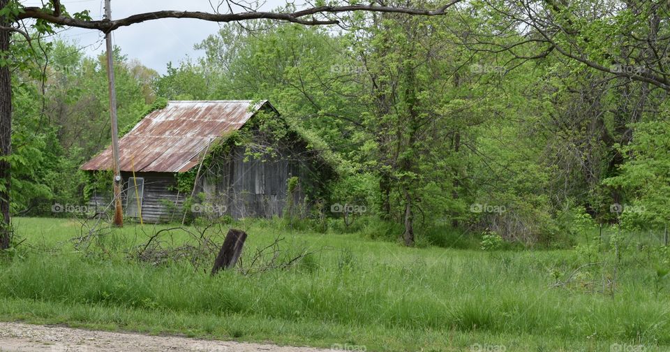 Old Farm House