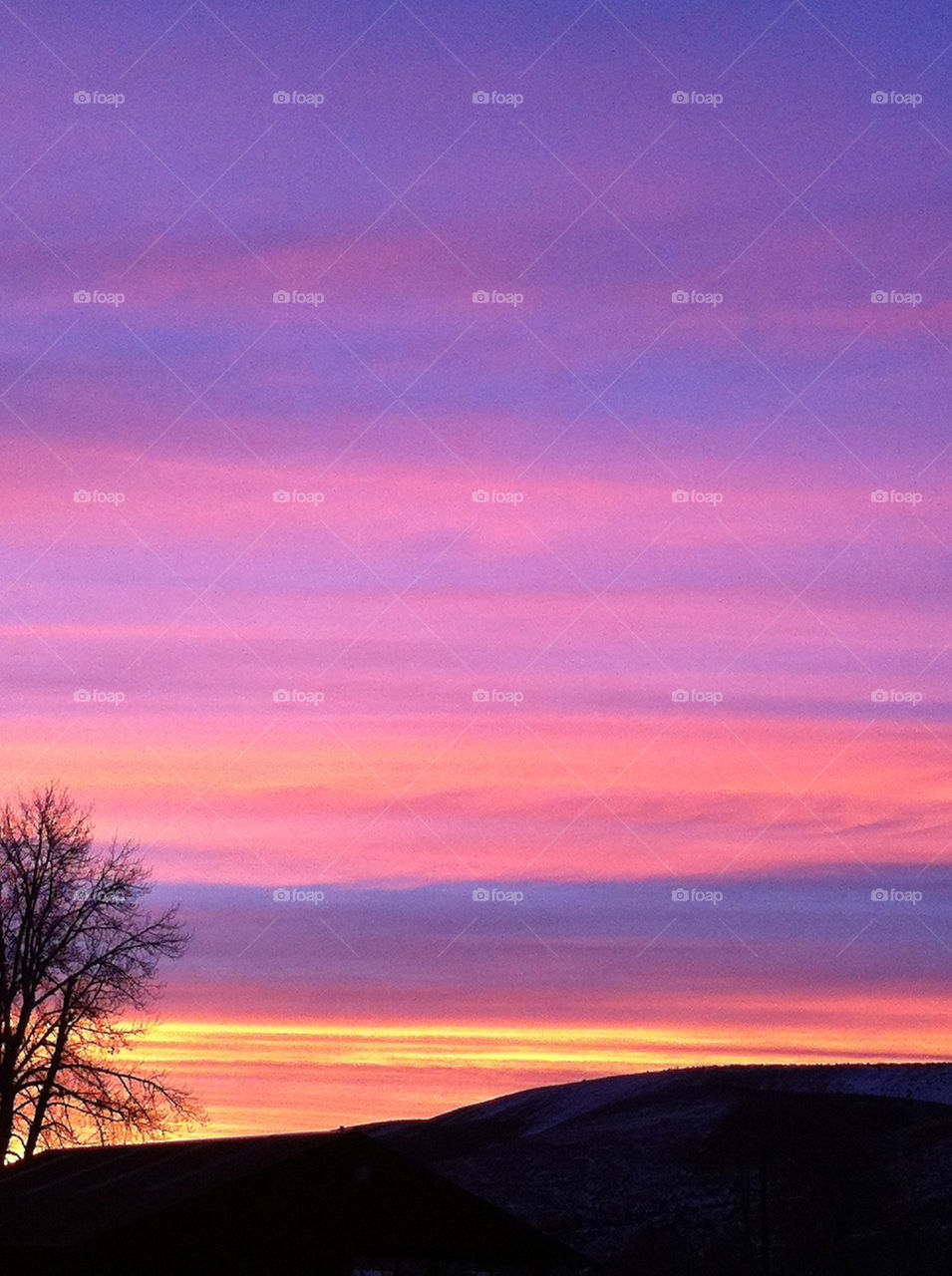 Sunrise in pink and purple