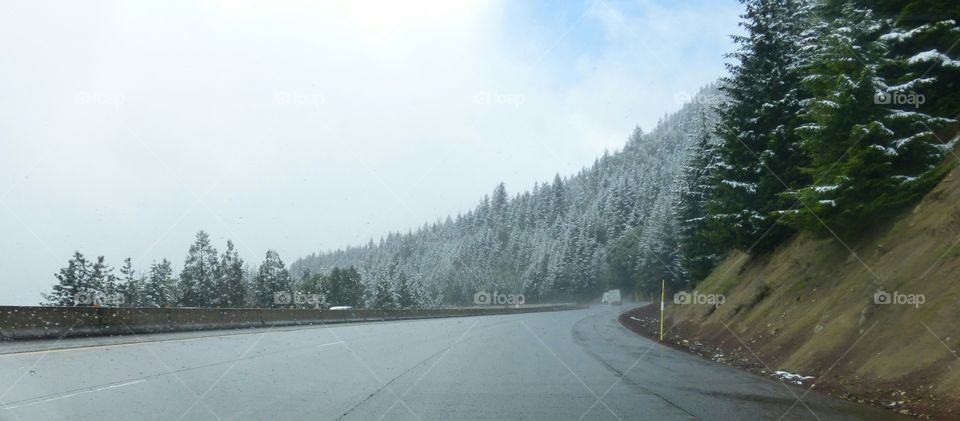 snow road trees