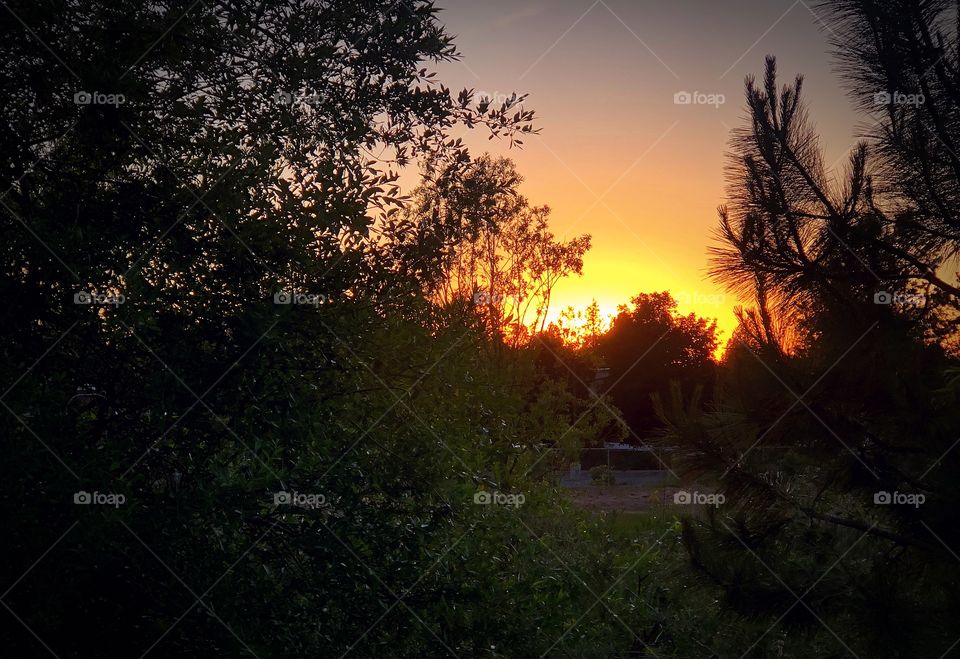 Sunset from the neighbors yard