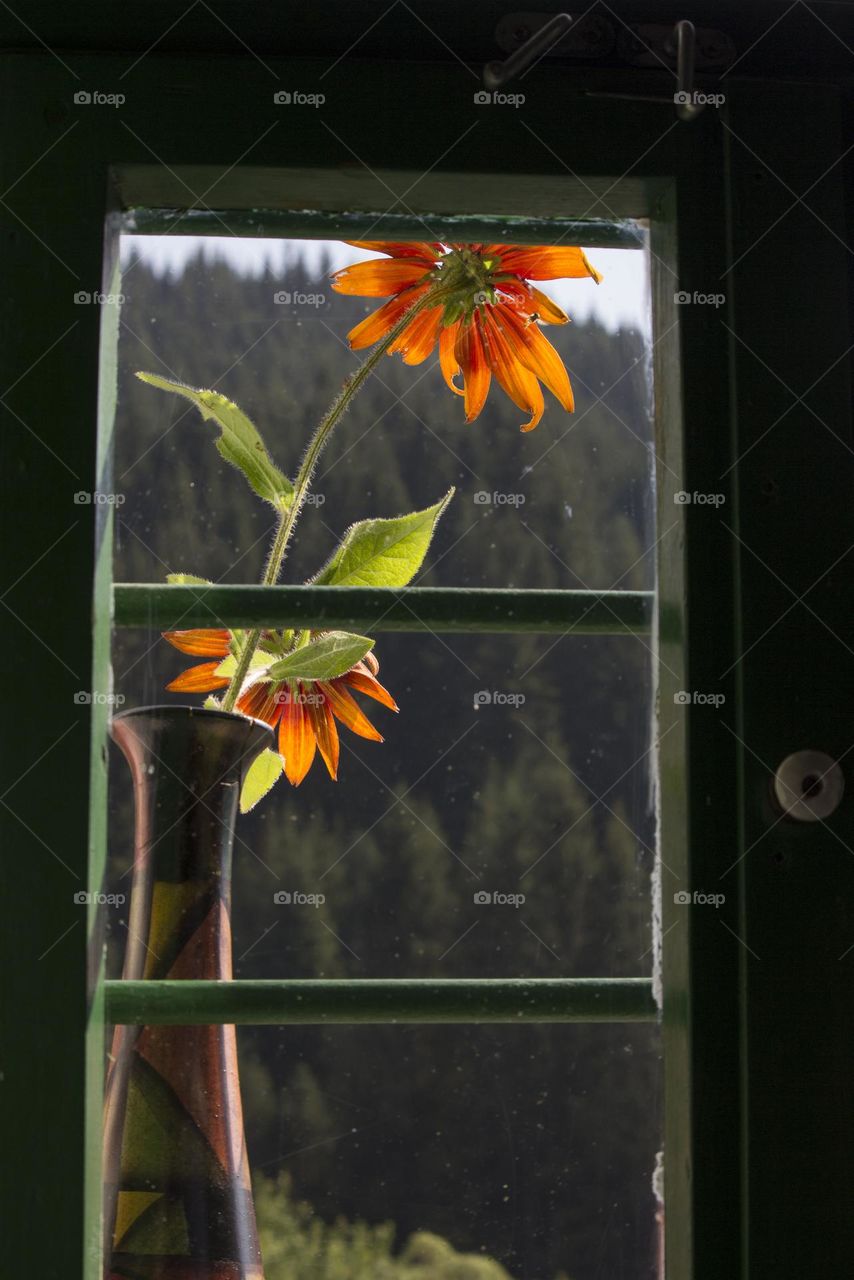 Flower in a vase on the window of country house