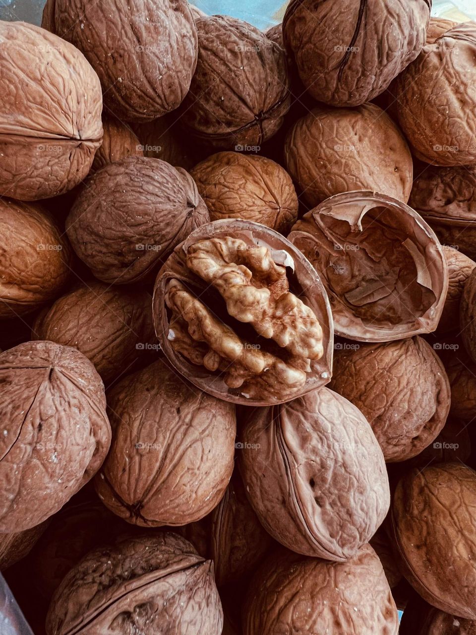 walnut