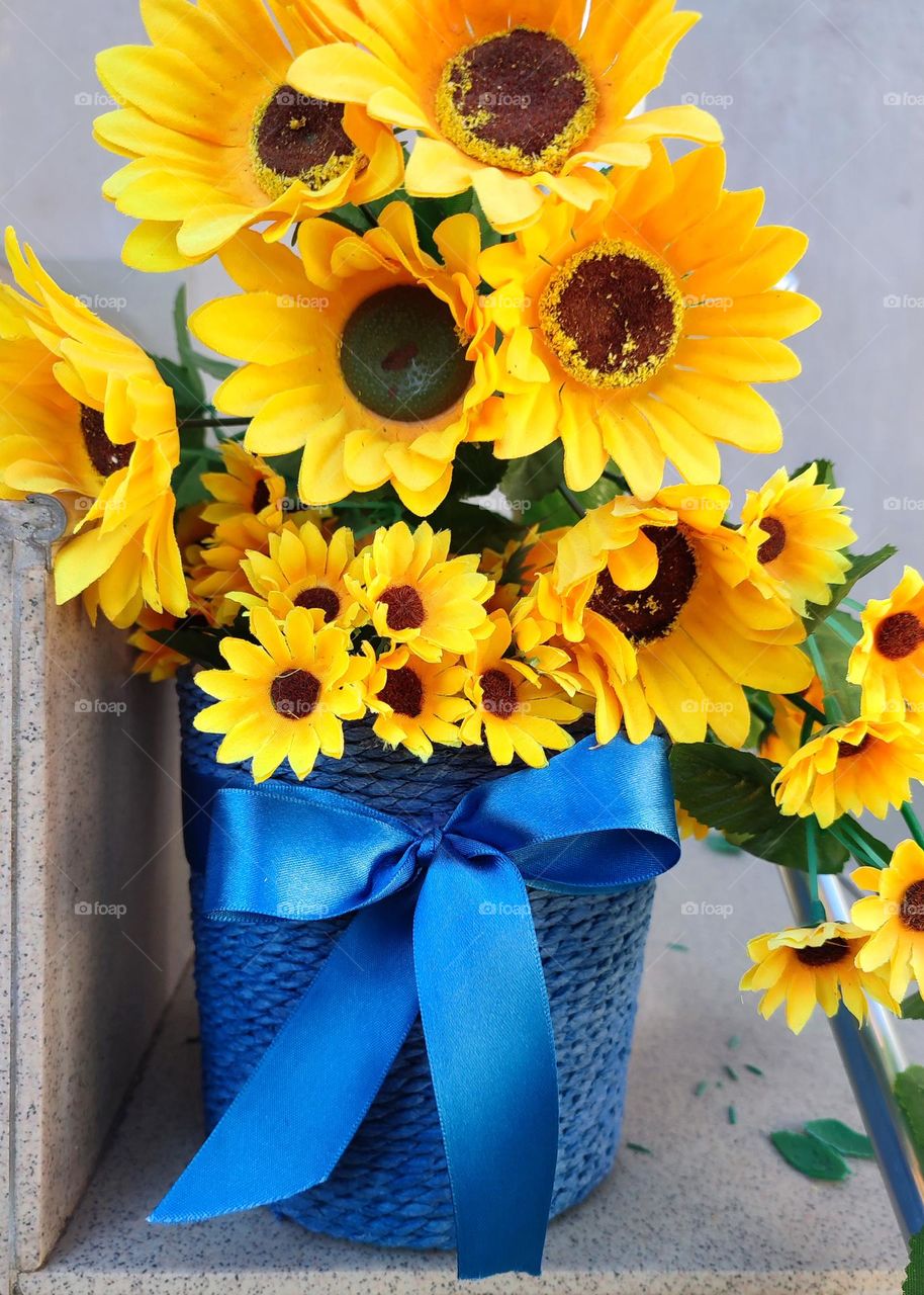 Complementary Colors, Flower Pot