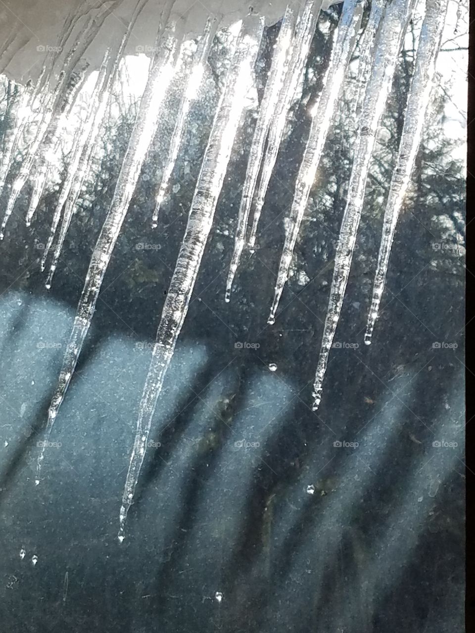 icicles in the window