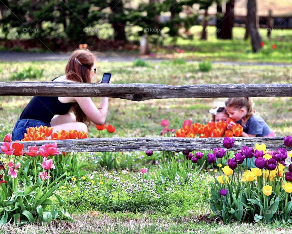 Picture Taking in Spring 