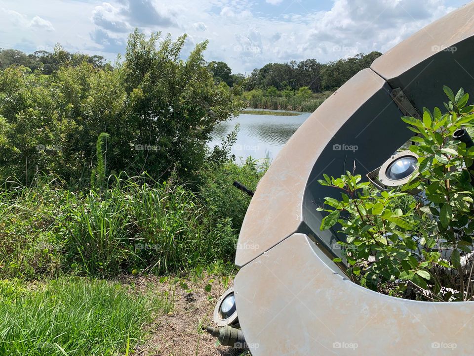 Urban Nature Water At The Draa Field Stormwater Park In The City For The Ecosystem To Provide A Water Quality Benefit To The Indian River Lagoon And To Reduce Flooding Within The Basin, In Florida.