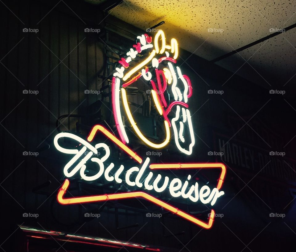 Budweiser Neon Horse Sign