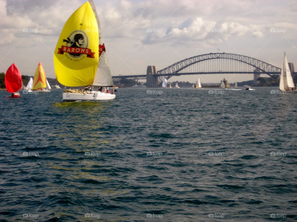 Yellow Sail. Sailing in Sydney