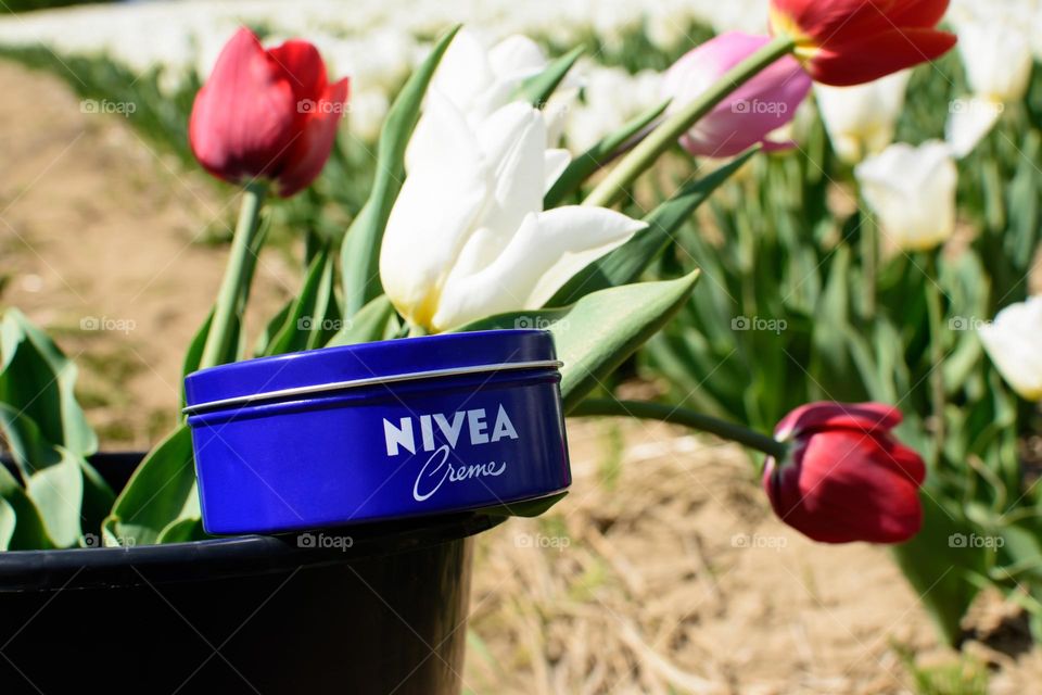 Nivea cream in tulip field fresh soft spring renewal 