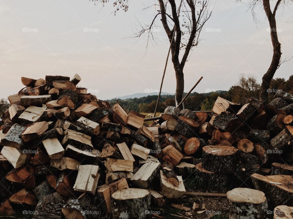 Nature keeps us warm.