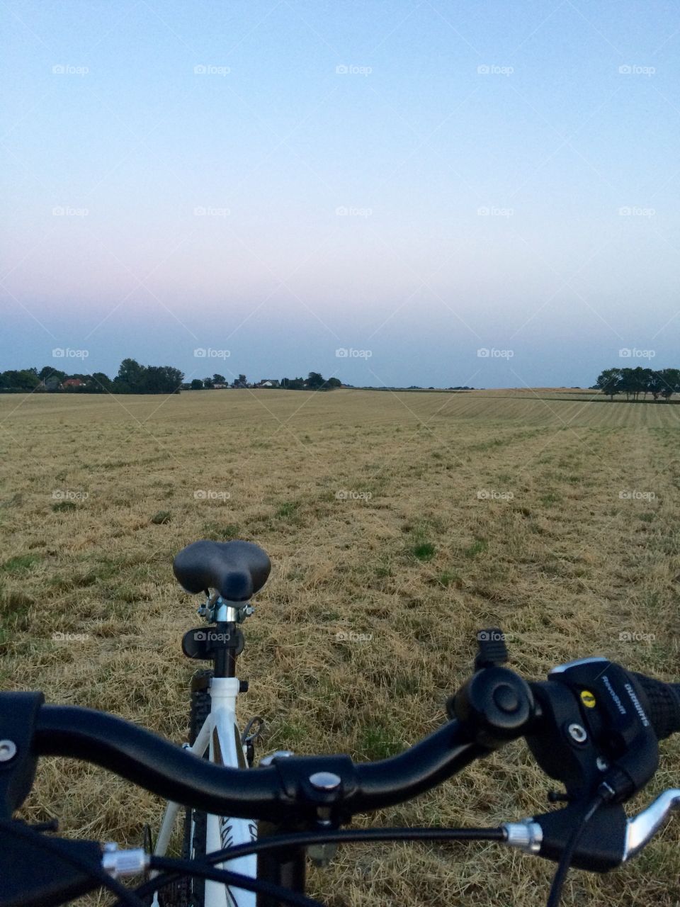 Bike- Field 