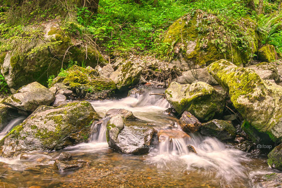 Small waterfall in the forest