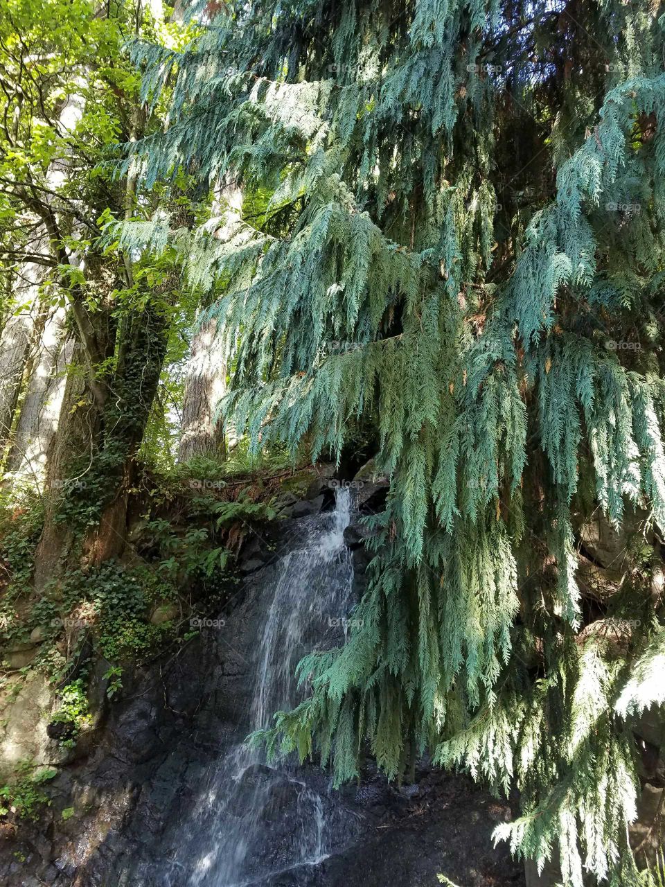 Low angle view of tree