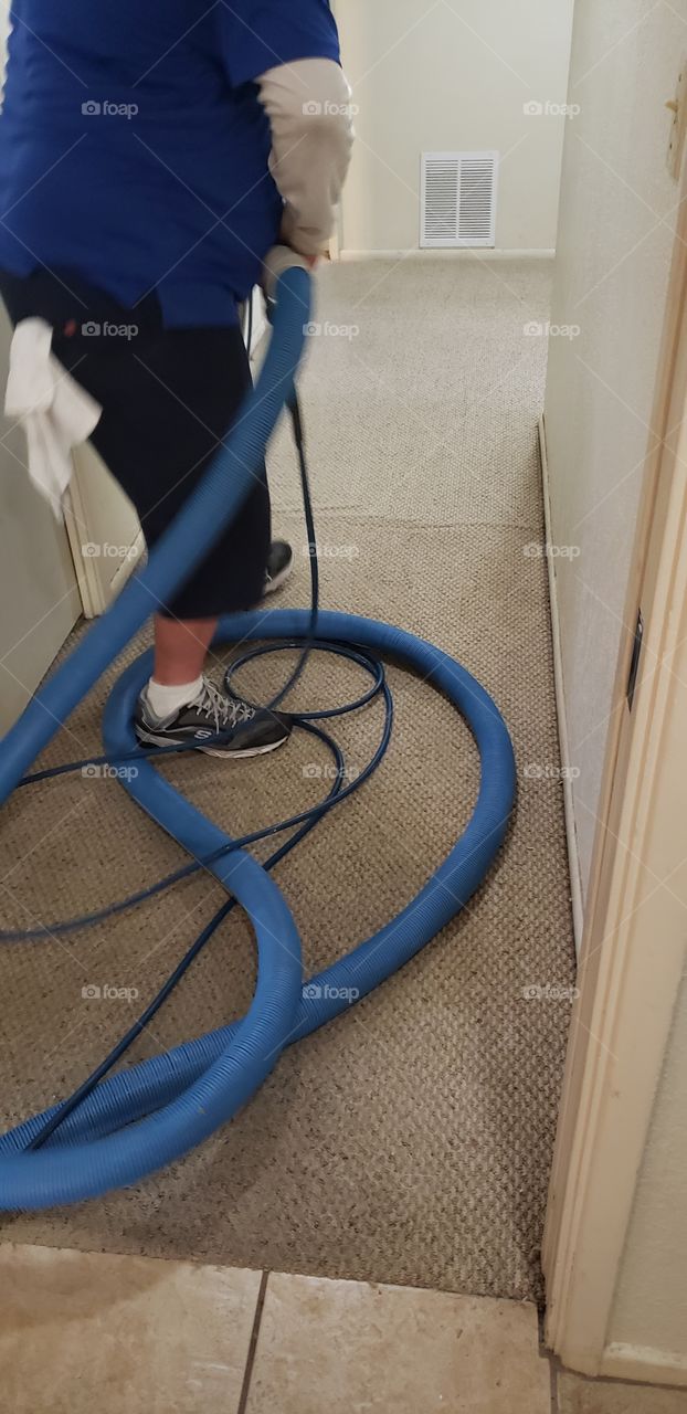 getting the carpet cleaned