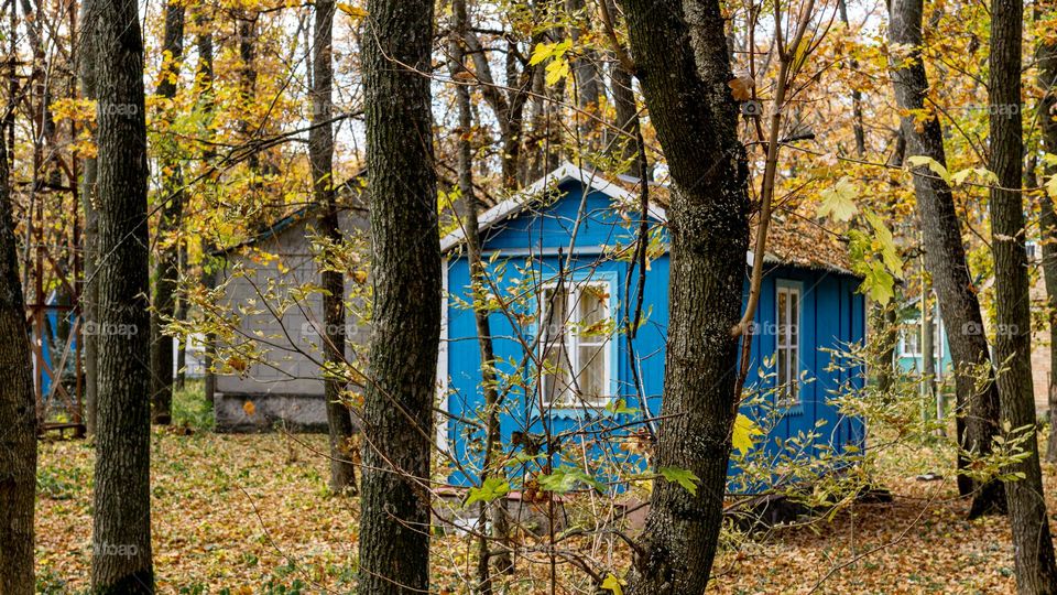 A tiny house among trees in fall 