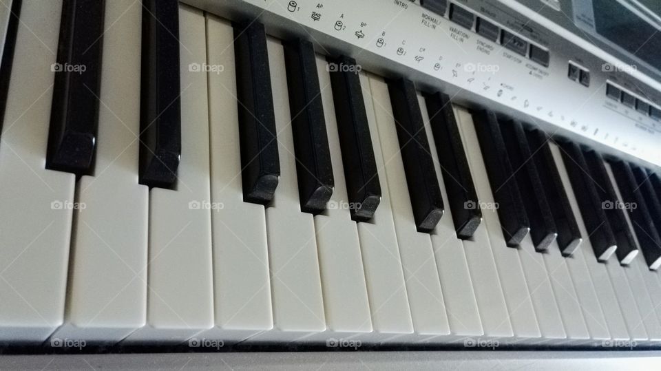 Tastiera Musicale