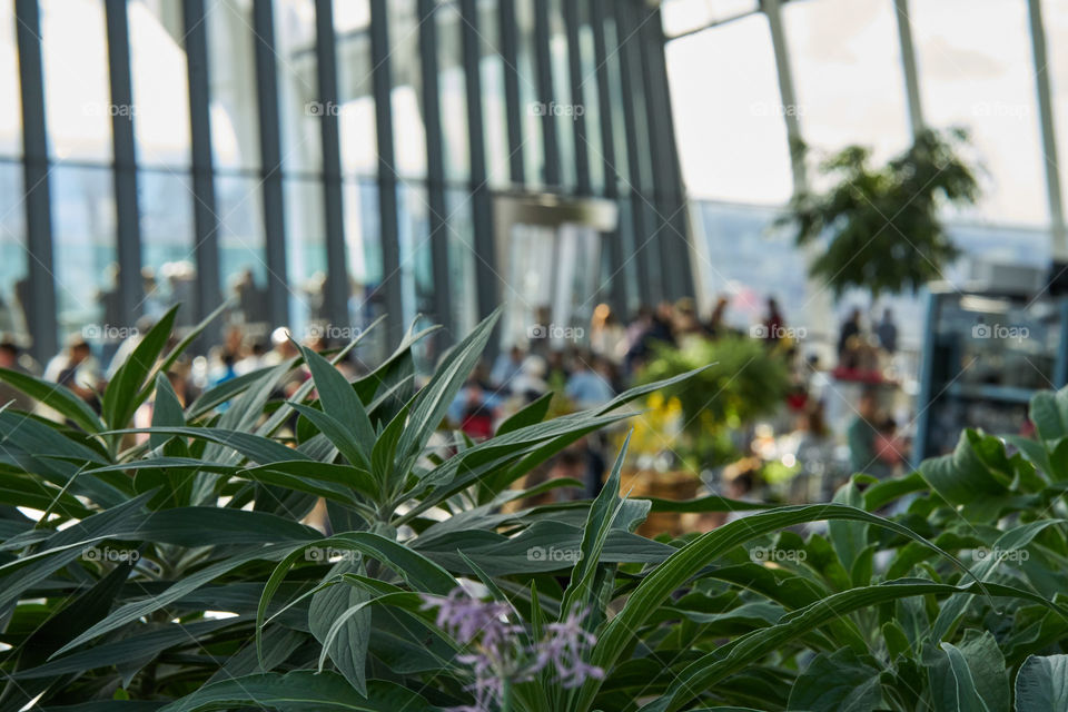 Sky Garden (London)