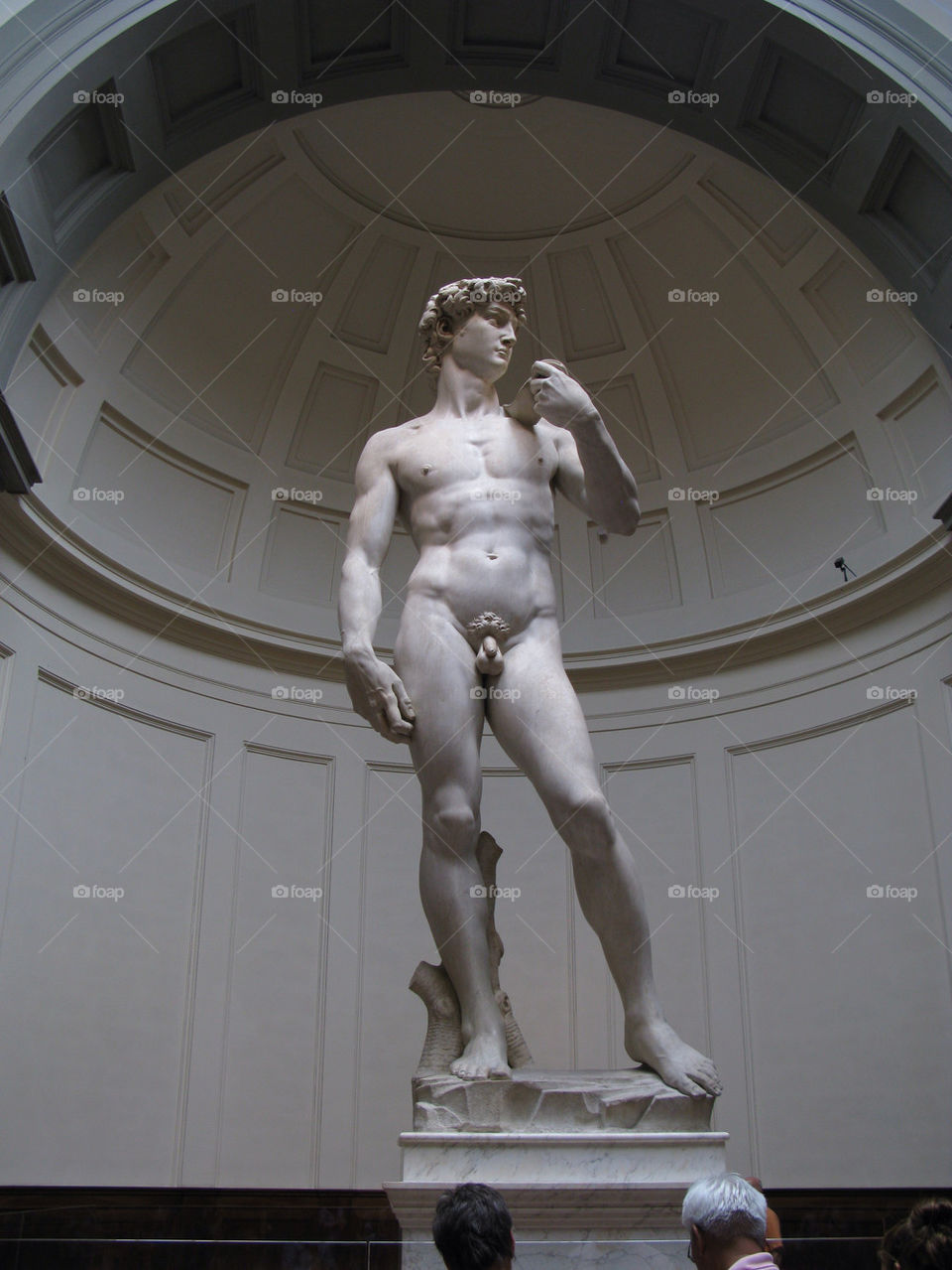 Statue of David