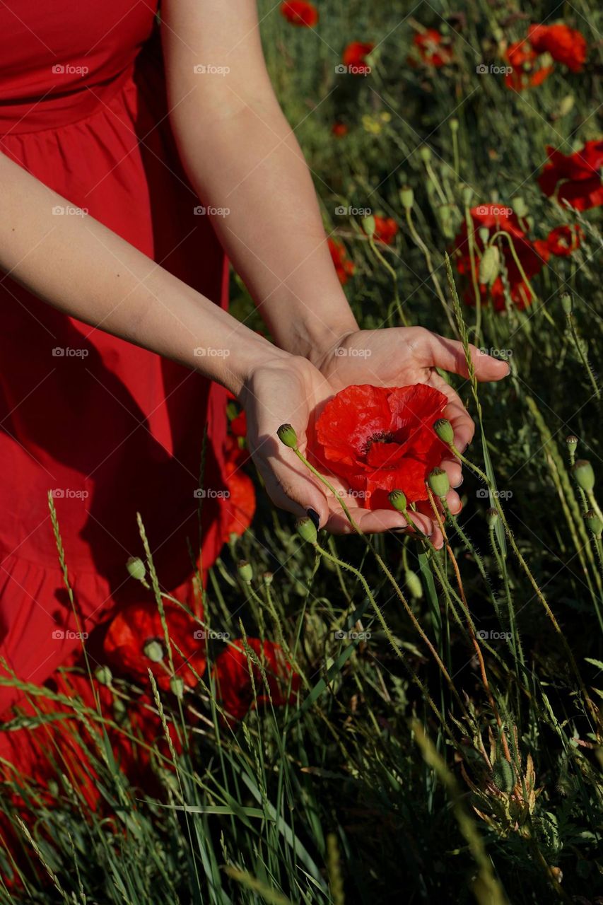 Girl holding a poppy flower