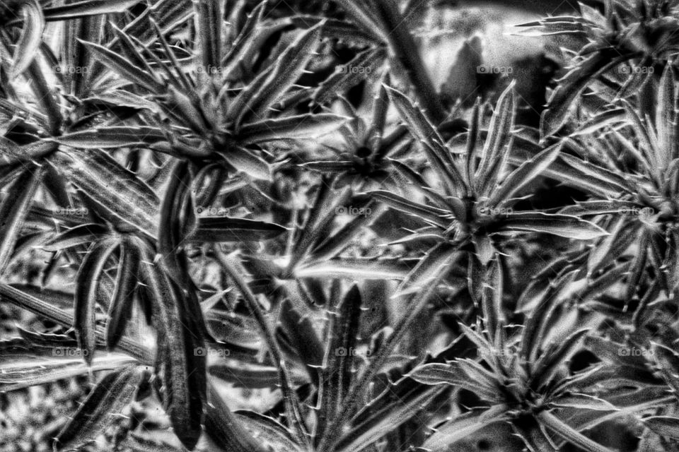 black and white world