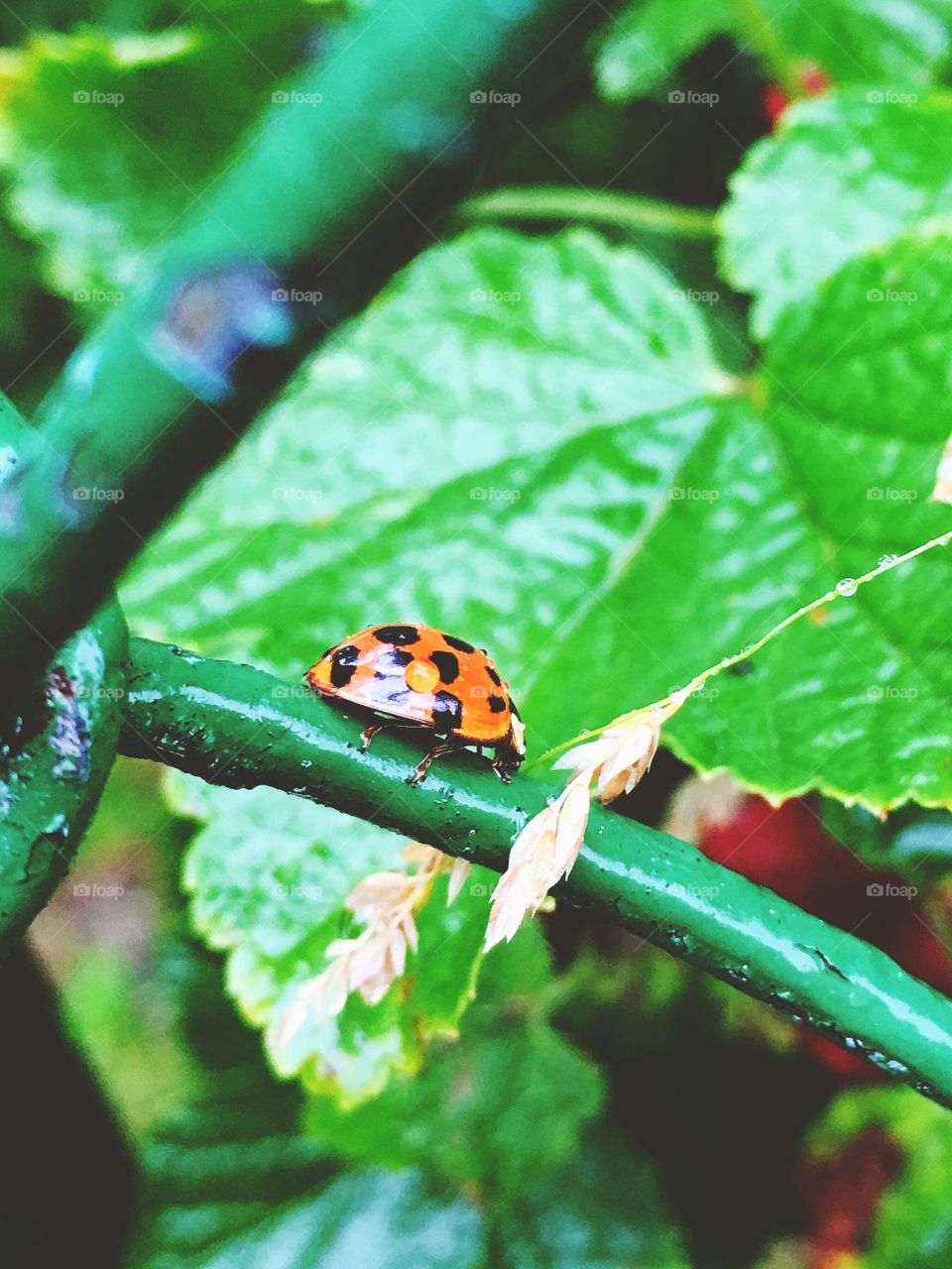 Captured with iPhone 6s Plus 