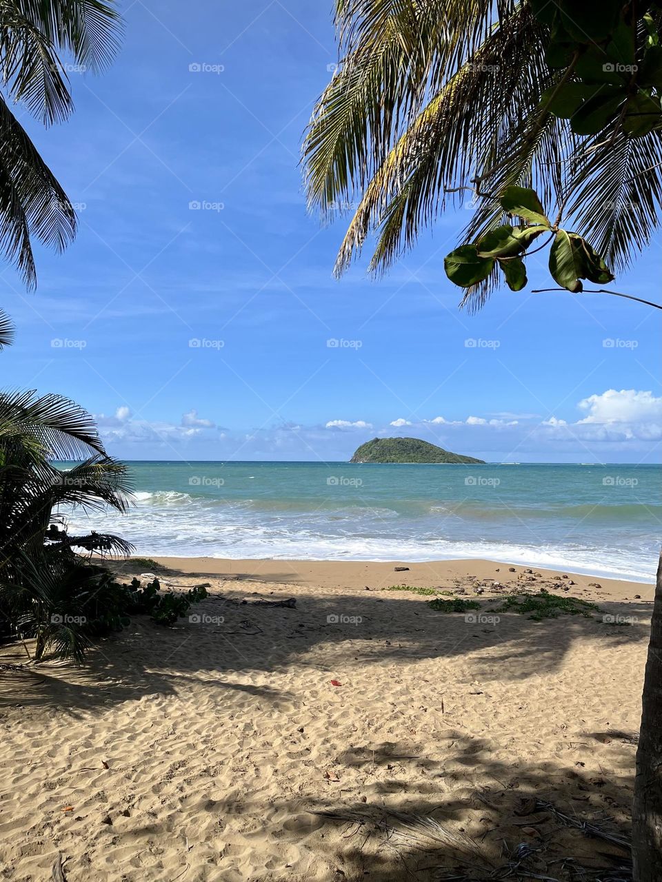 View of a beach in the French West Indies