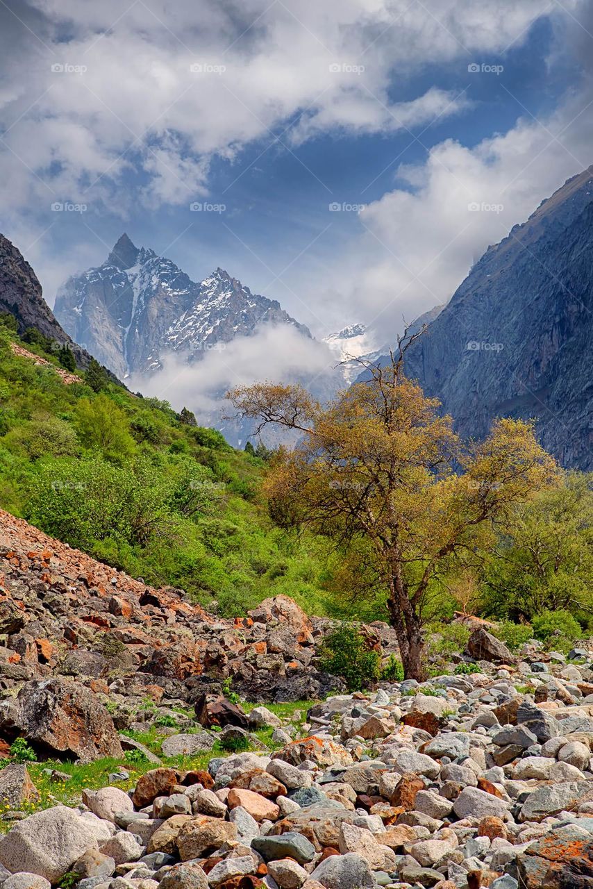 Purity and serenity in the midst of nature