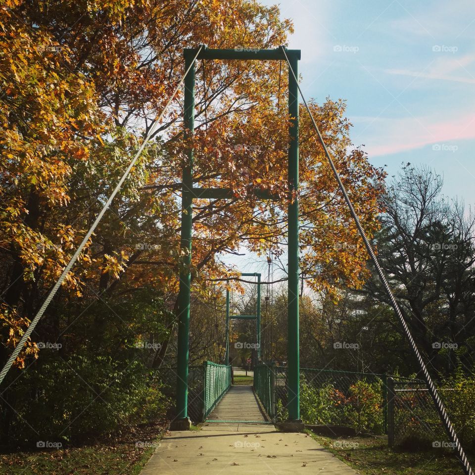 Suspension Bridge