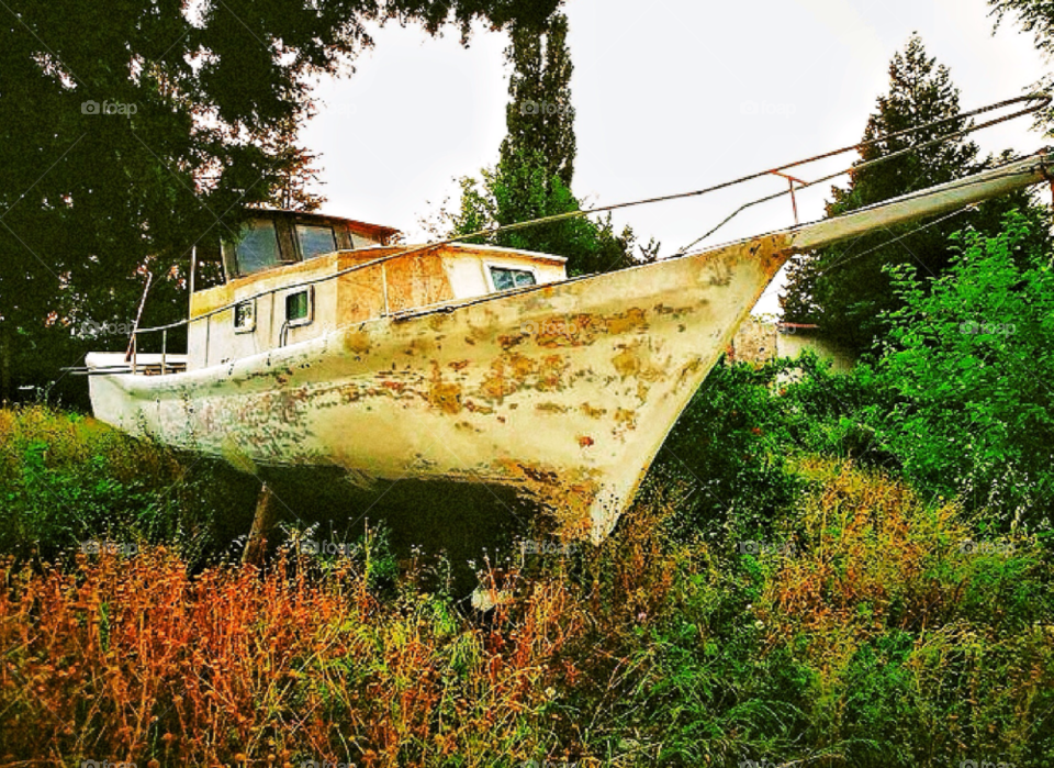 nature boat bodrum by pitikelebek