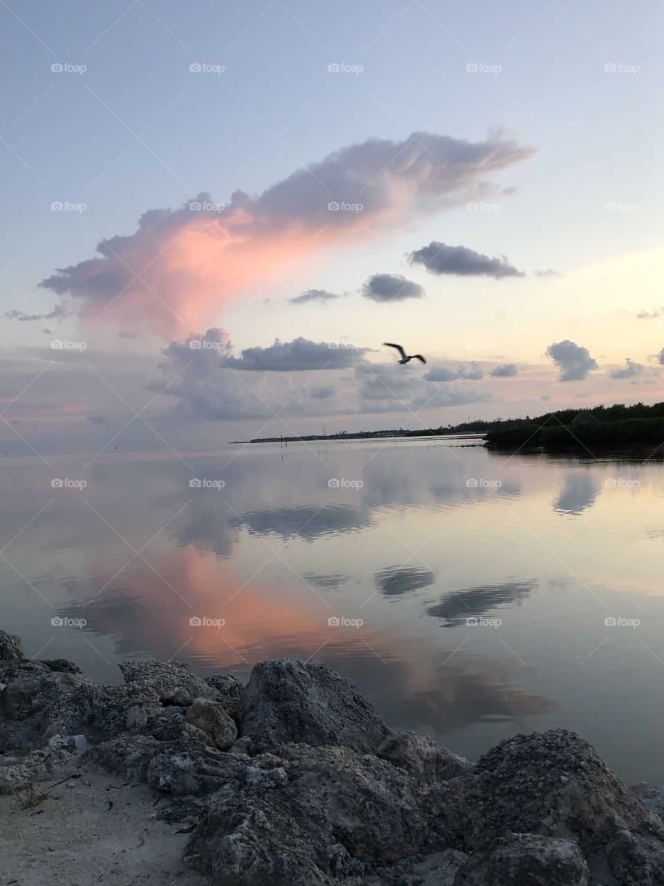 Florida sunset with pink cluster of clouds 