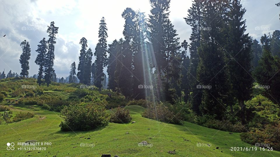 Beautiful Sunset at a beatiful spot in  Keller Forests of Shopian Kashmir   J & K....