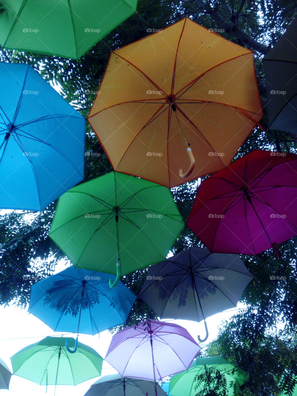 Umbrellas