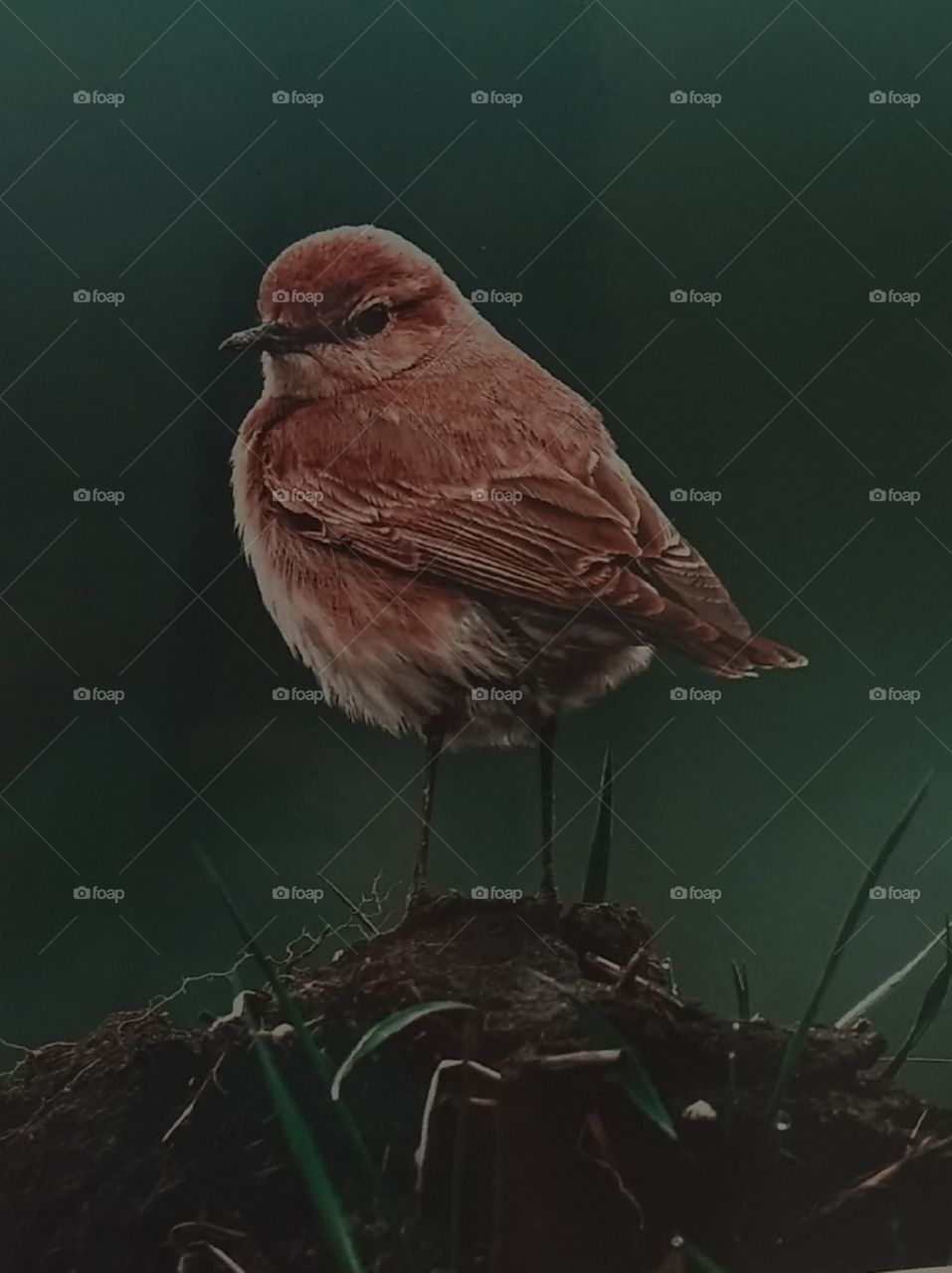 my bestie 😘😘😘 JAMBIE