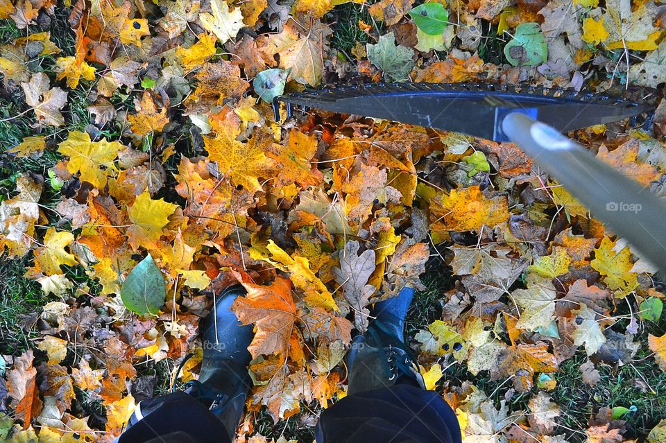 Raking leaves