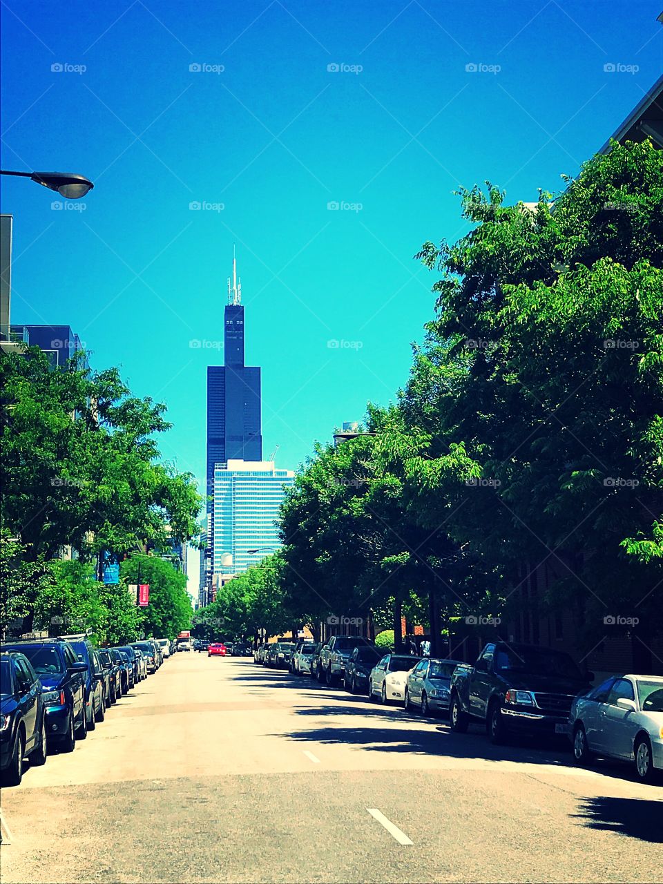 View of Willis Tower from West Loop Chicago