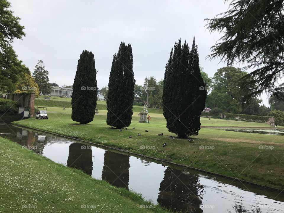 These trees are one of the primary features of these beautiful gardens.