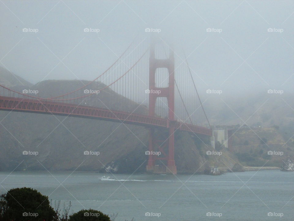 Bridge, Water, Landscape, Fog, Suspension Bridge