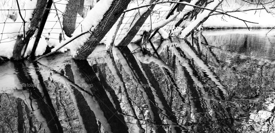 April snow on the sunrise