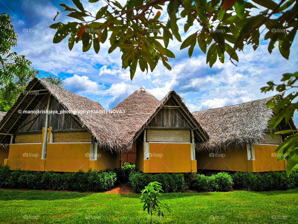 Aliya Resort & spa @ Sigiriya