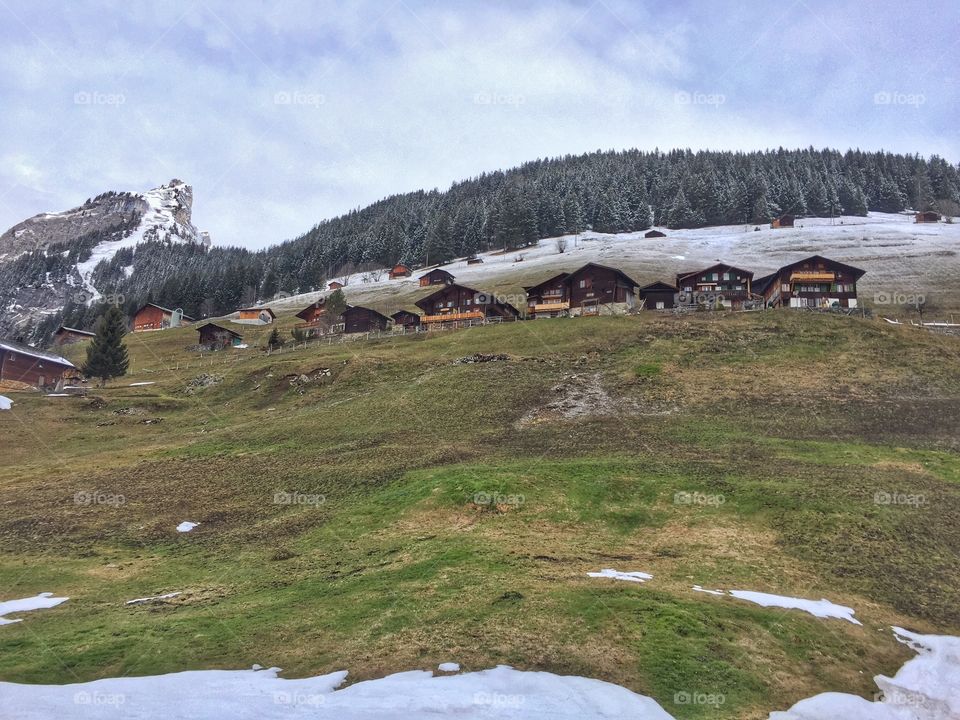 Panoramic Swiss Landscape 