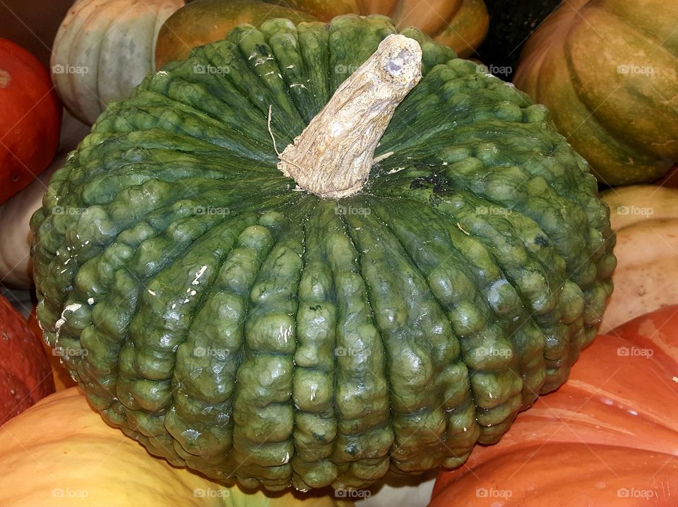 Green Type of pumpkin
