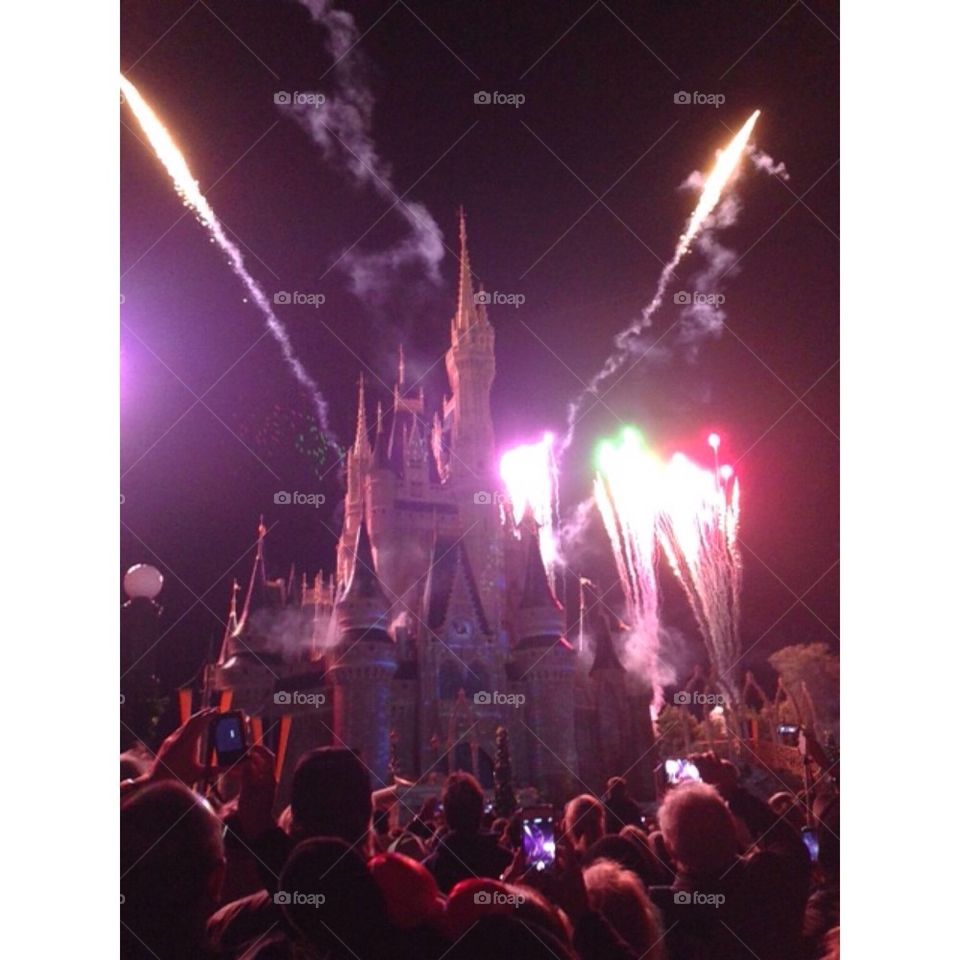 Disney's Magic Kingdom