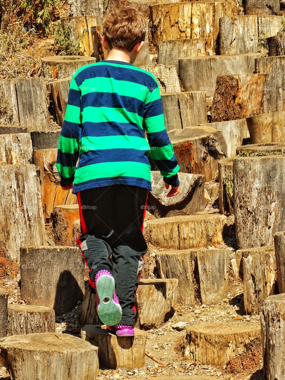 Natural Staircase. Boy Climbing A Staircase Made Of Tree Stumps
