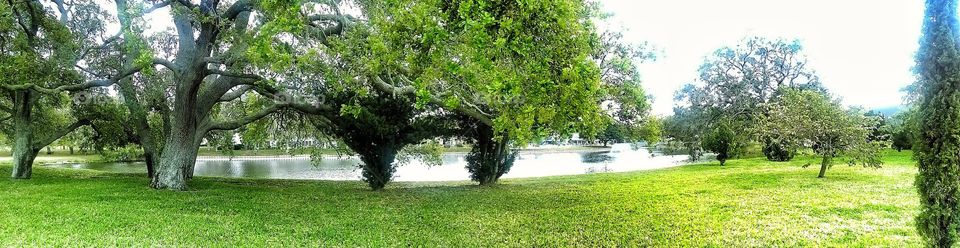 Pond Panoramic