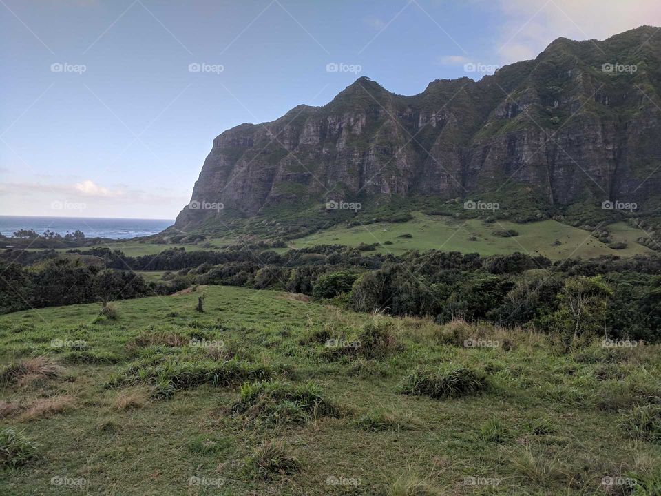 Hawaiian Volcanic Landscape