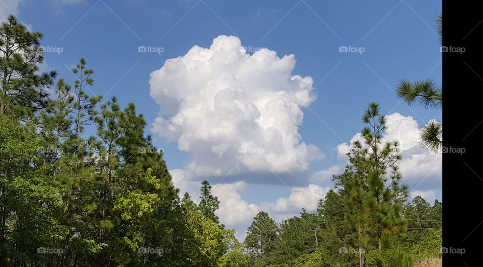 Cloud anvil cloud