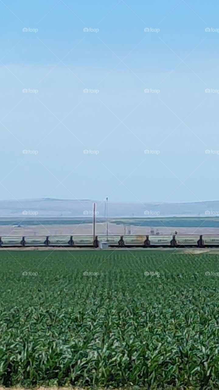 farm and ranch series