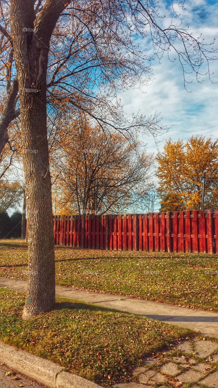 Red Fence in Fall