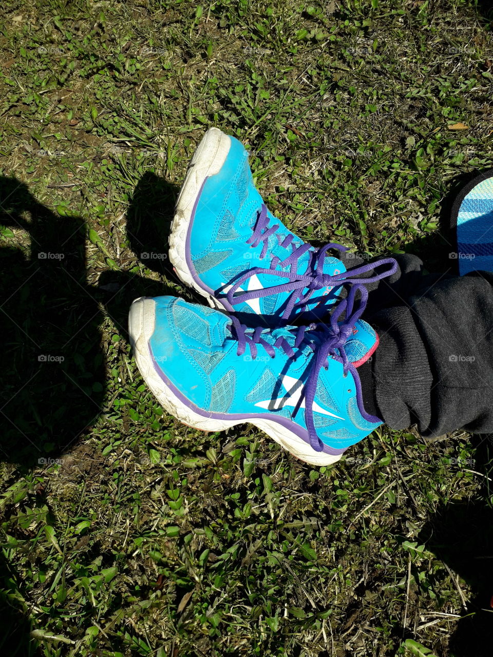 resting on the grass